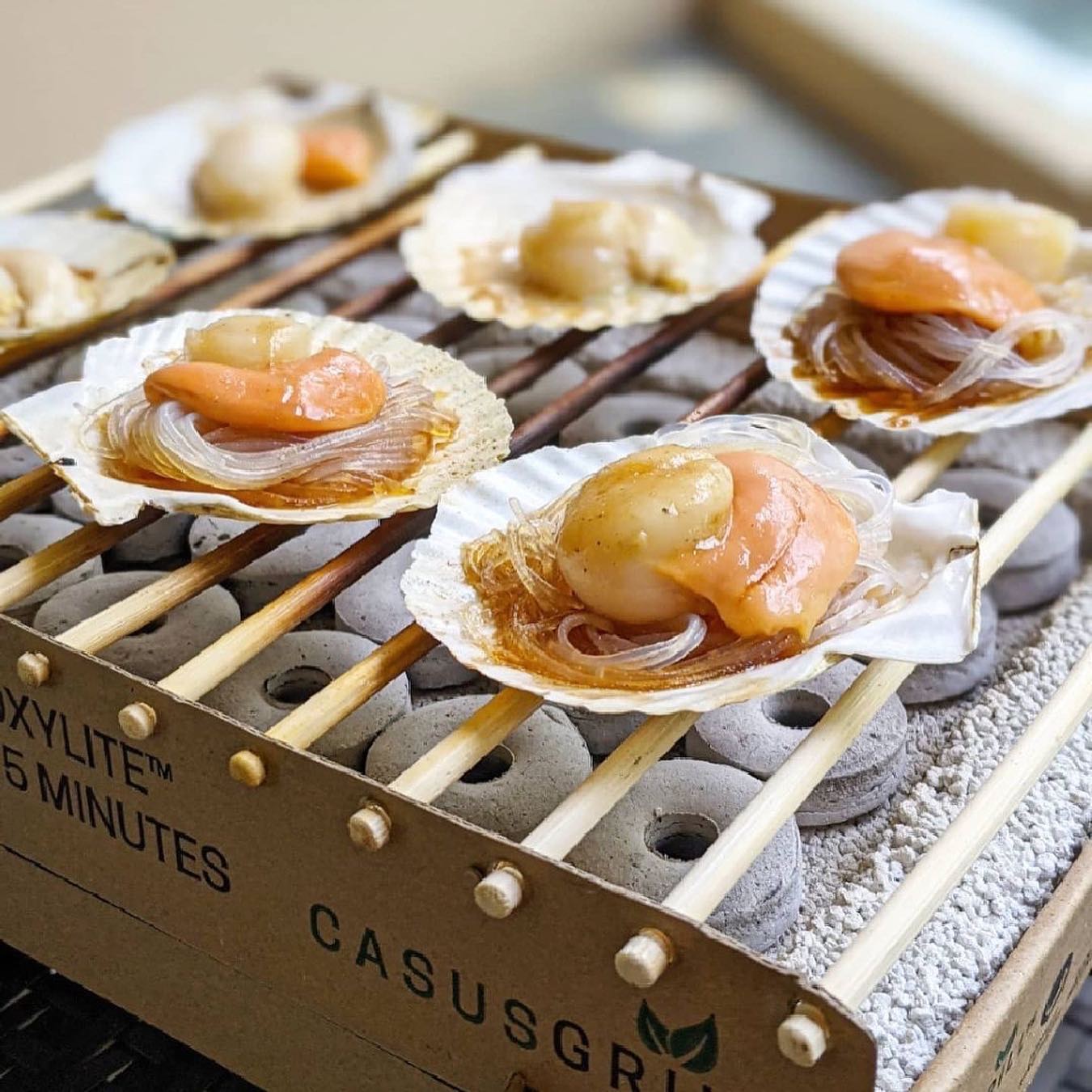 Casusgrill 環保無火燒烤爐