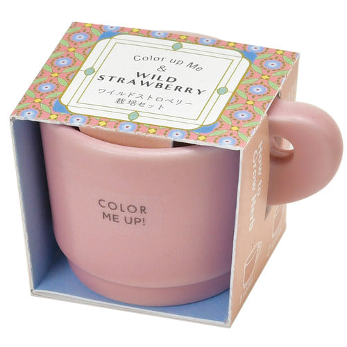 Color me up MUG | 迷你馬克杯小盆栽