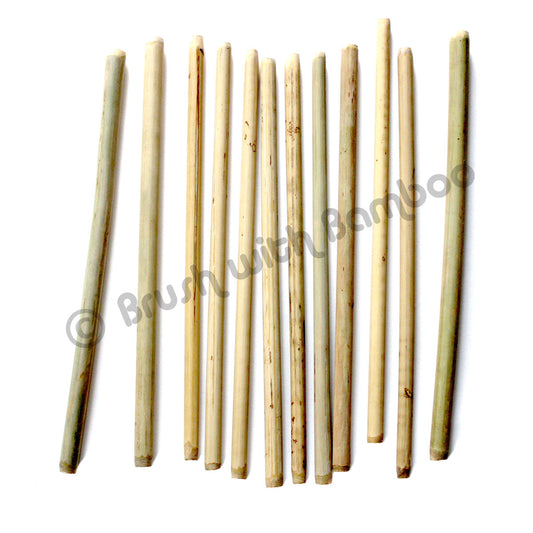 竹飲管 Bamboo Drinking Straws (1支 / 1 PCS)