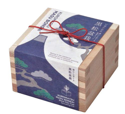 Sodatemasu | 小木盆系列