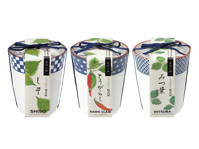 Japanese Spice | 和式藥味小缽