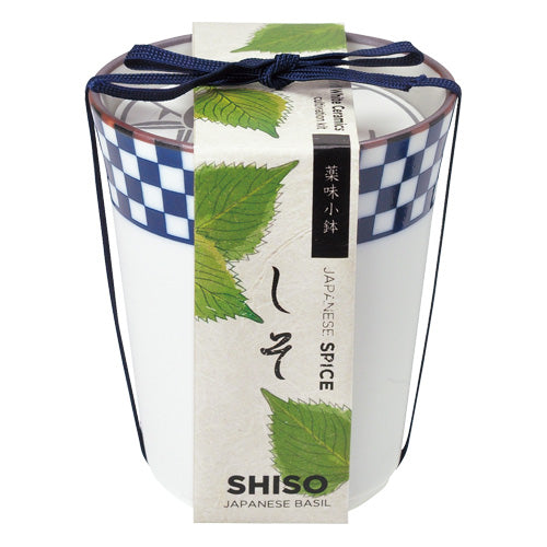 Japanese Spice | 和式藥味小缽