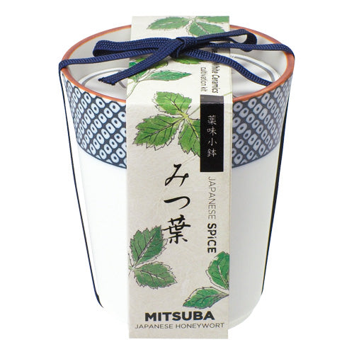 Japanese Spice | 和式藥味小缽