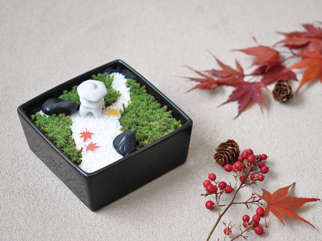 Moss Garden Making Kit | 苔日和