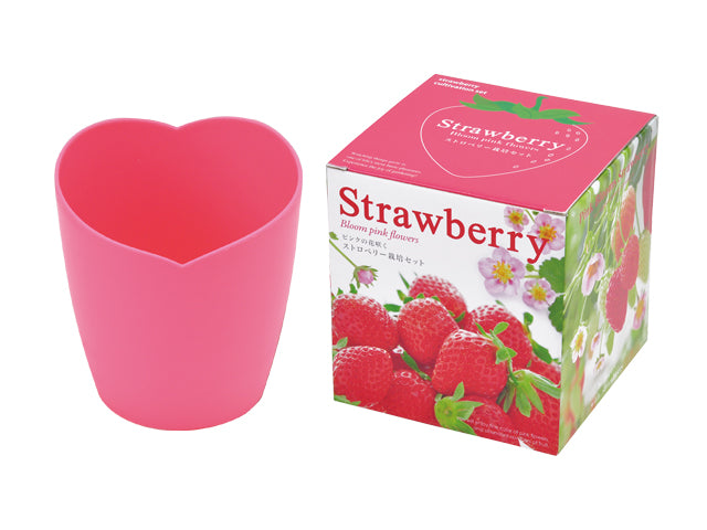 Strawberry Bloom Pink Flowers | 士多啤梨盒子