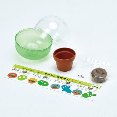 Green Capsule Cactus | 種植膠囊 仙人掌