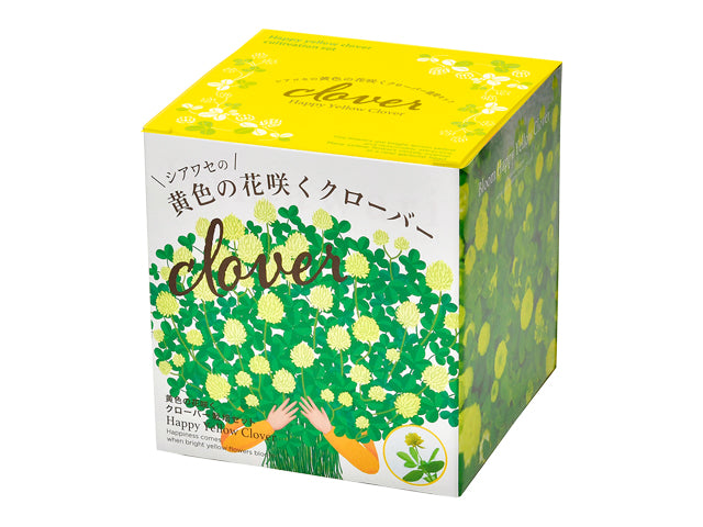 Bloom Happy Yellow Clover | 黃色三葉草