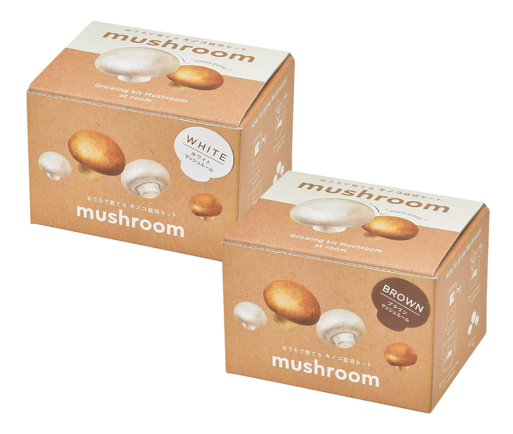 Mushroom | 家庭蘑菇栽培套裝