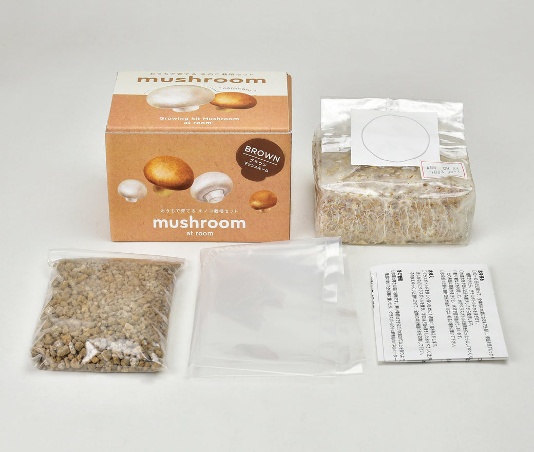 Mushroom | 家庭蘑菇栽培套裝