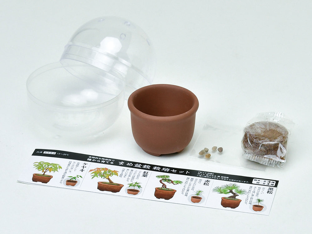 Green Capsule Bonsai | 種植膠囊 盆景