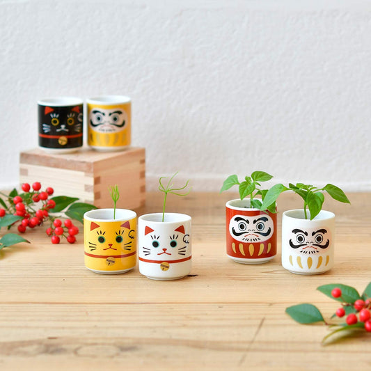 Daruma Doll | 達摩