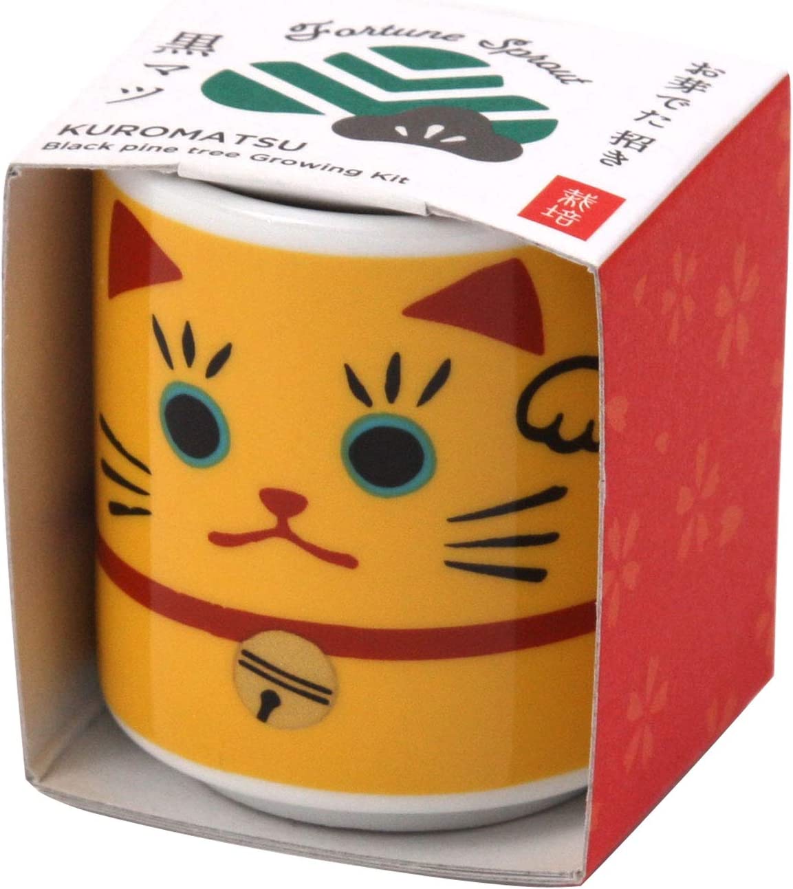 SEISHIN 日本製家用小盆栽 | Nature Thoughts生活雜貨鋪