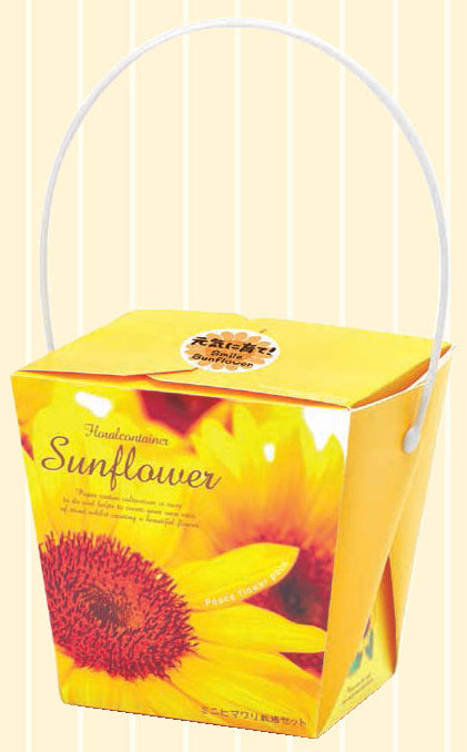 Floral Container Smile Sunflower | 太陽花盆栽