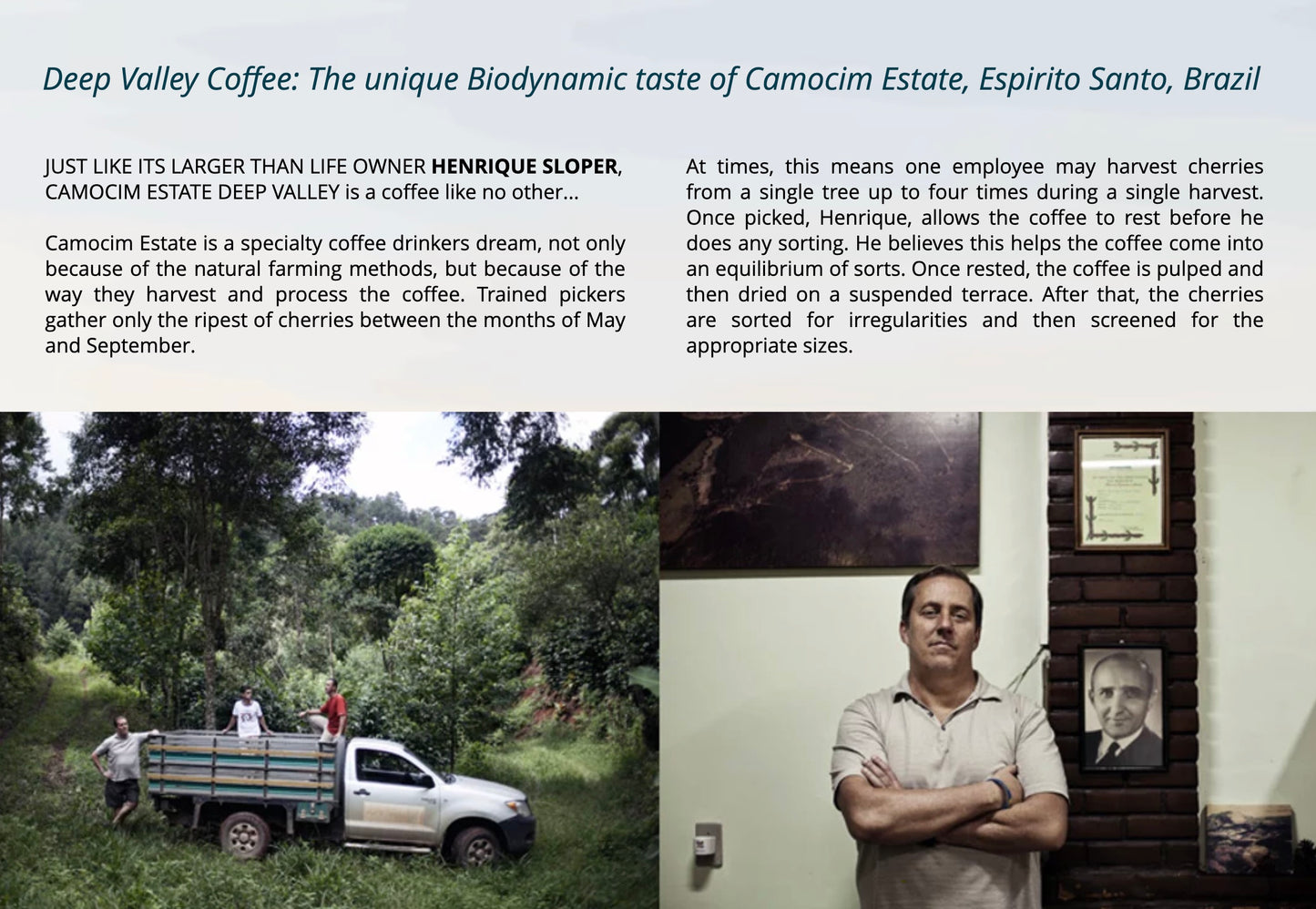 Deep Valley Biodynamic Light Roast Coffee | 長谷生物動力有機巴西咖啡 – 淺烘培