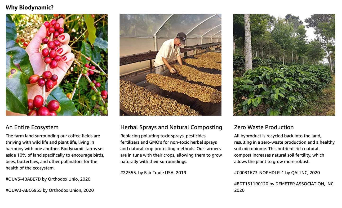 Deep Valley Biodynamic Dark Roast Coffee | 長谷生物動力有機巴西咖啡 – 深烘培