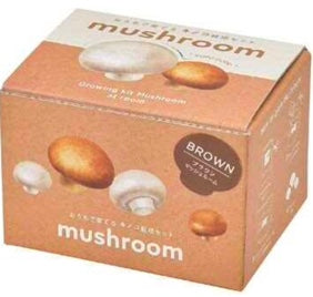 Mushroom | 家庭蘑菇栽培套裝