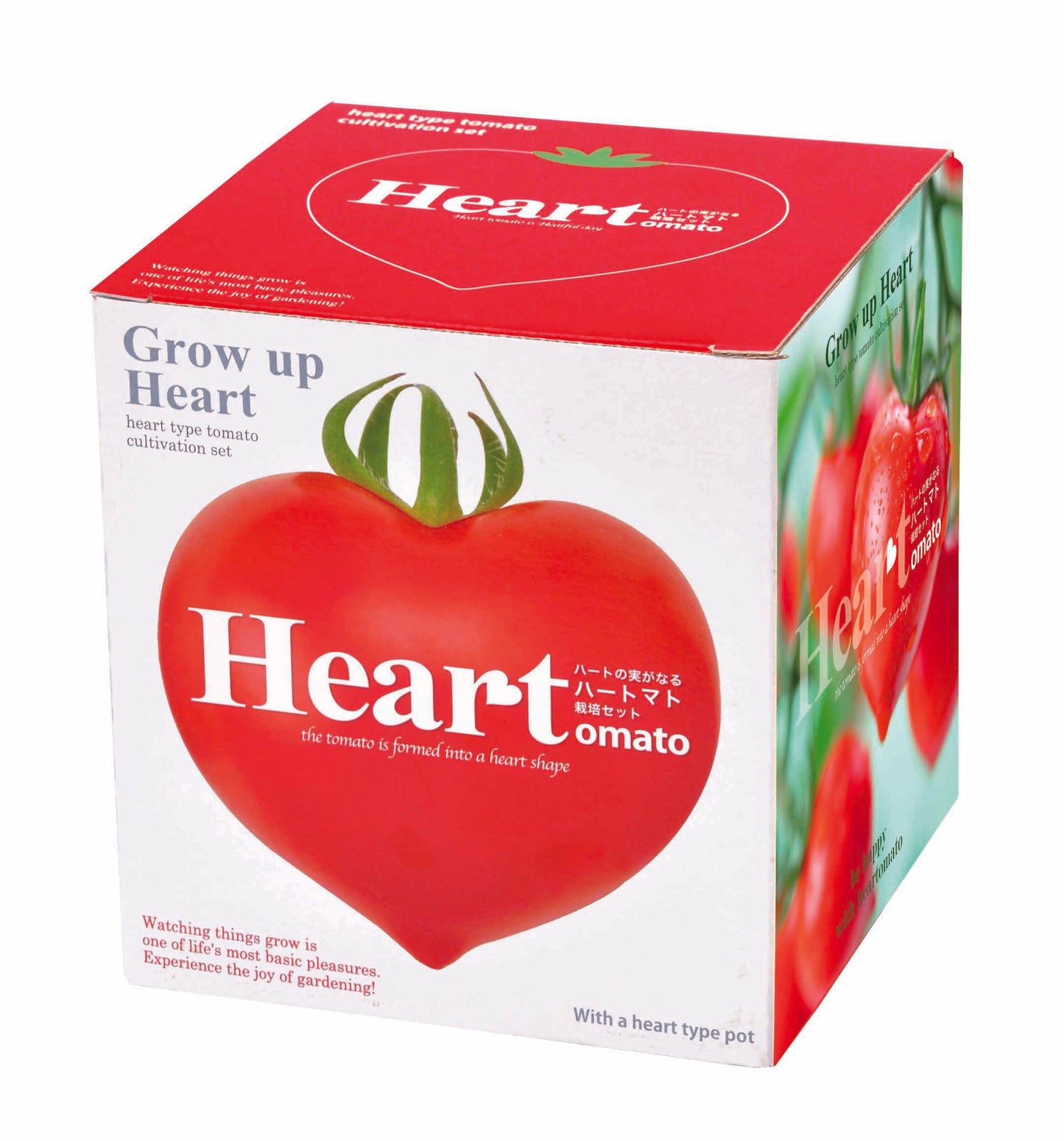 Heartomato Set | 心型小蕃茄