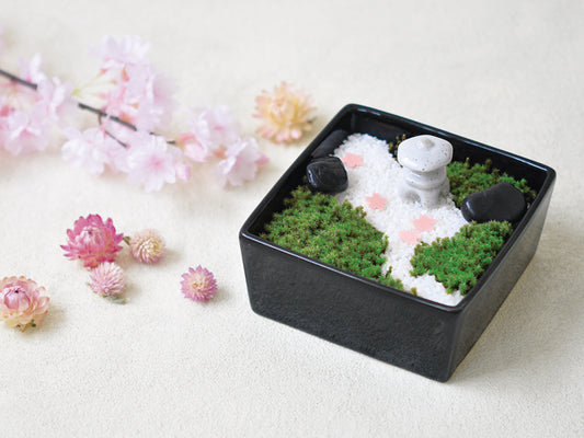 Moss Garden Making Kit | 苔日和