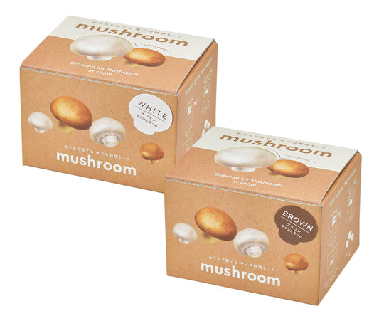 Mushroom | 家庭蘑菇栽培套裝